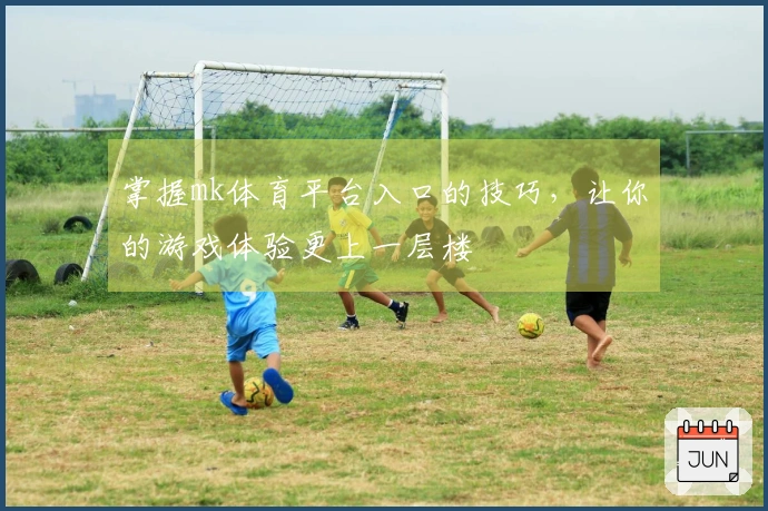 掌握mk体育平台入口的技巧，让你的游戏体验更上一层楼