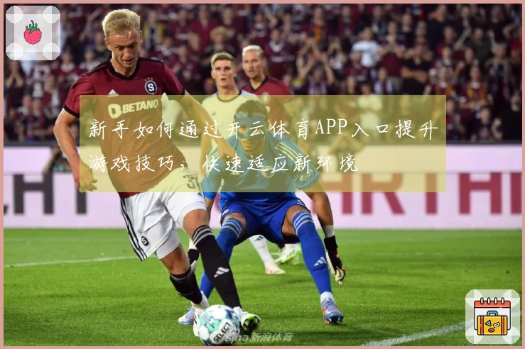 新手如何通过开云体育APP入口提升游戏技巧，快速适应新环境