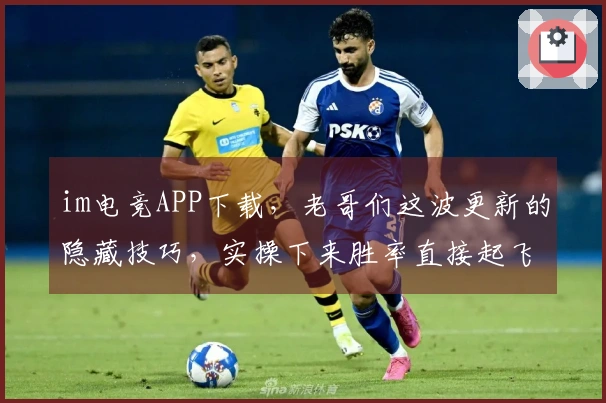 im电竞APP下载，老哥们这波更新的隐藏技巧，实操下来胜率直接起飞！